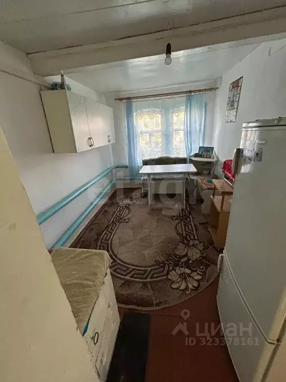 Дом в Курганская область, Каргапольский муниципальный округ, с. Чаши ... - Фото 1