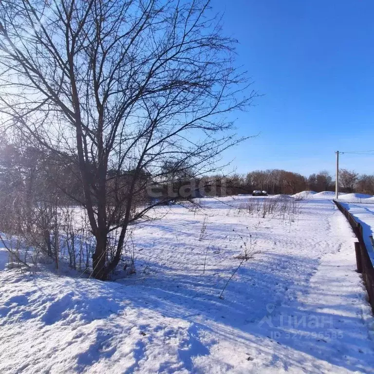 Участок в Кемеровская область, Осинники Водонасосная ул., 36 (8.93 ... - Фото 1