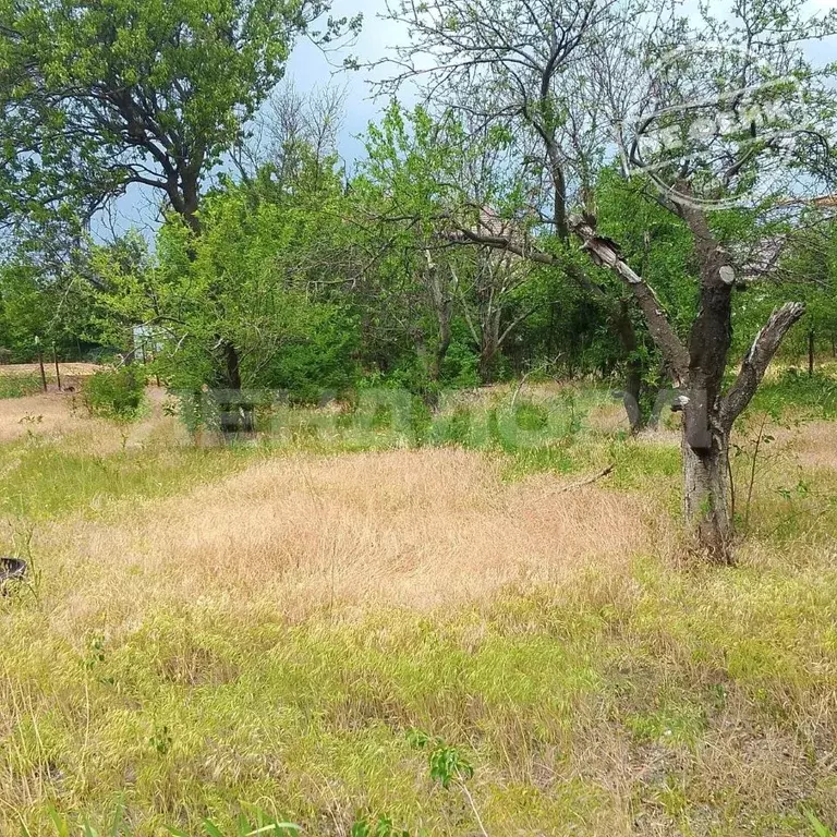 Участок в Ростовская область, Новочеркасск Малинка СТ,  (6.0 сот.) - Фото 1