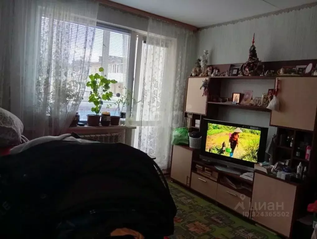 1-к кв. Пермский край, Пермь Волгодонская ул., 19 (25.0 м) - Фото 2