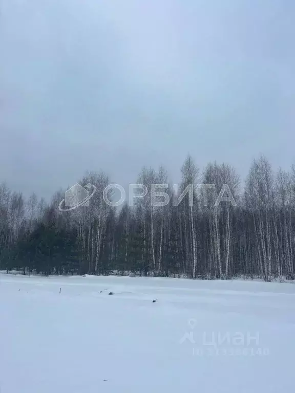 Участок в Тюменская область, Тюменский район, д. Марай  (9.16 сот.) - Фото 0