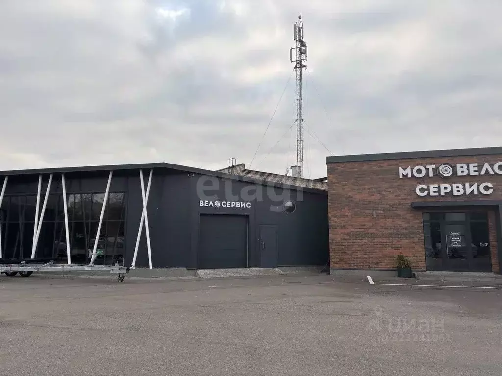 Помещение свободного назначения в Псковская область, Псков ул. 23 ... - Фото 2