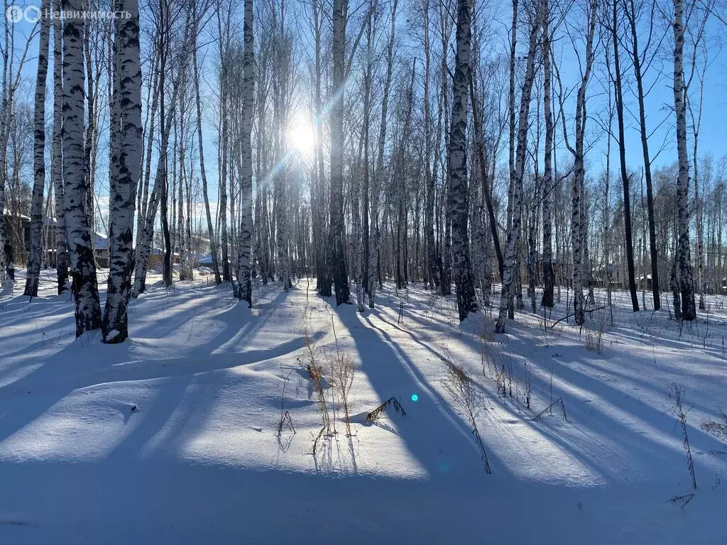 Участок в Иркутский муниципальный округ, посёлок Новая Разводная, ... - Фото 0