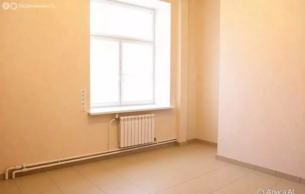 Помещение свободного назначения (240 м) - Фото 2