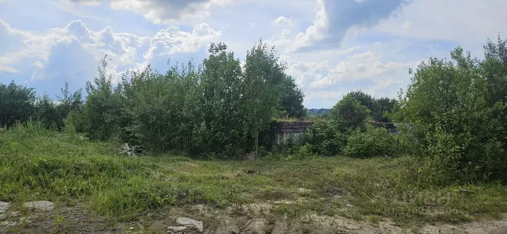 Участок в Ленинградская область, Ломоносовский район, Ропшинское ... - Фото 0