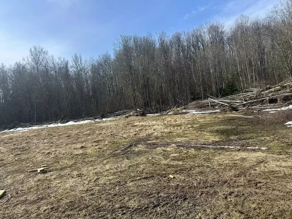Участок в Московская область, Клин городской округ, д. Давыдково  ... - Фото 2