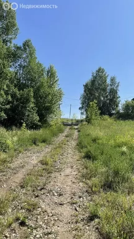 Участок в Кемеровский муниципальный округ, село Елыкаево (14.6 м) - Фото 1