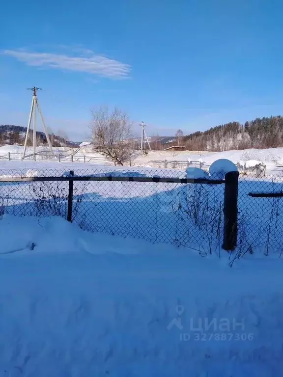 Участок в Алтай, Майминский район, Поселок филиал пер. Садовый (12.3 ... - Фото 1