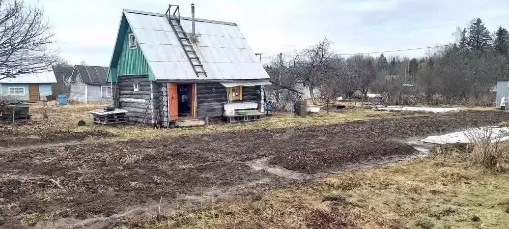 Дом в Вологодская область, пос. Васильевское  (30 м) - Фото 2