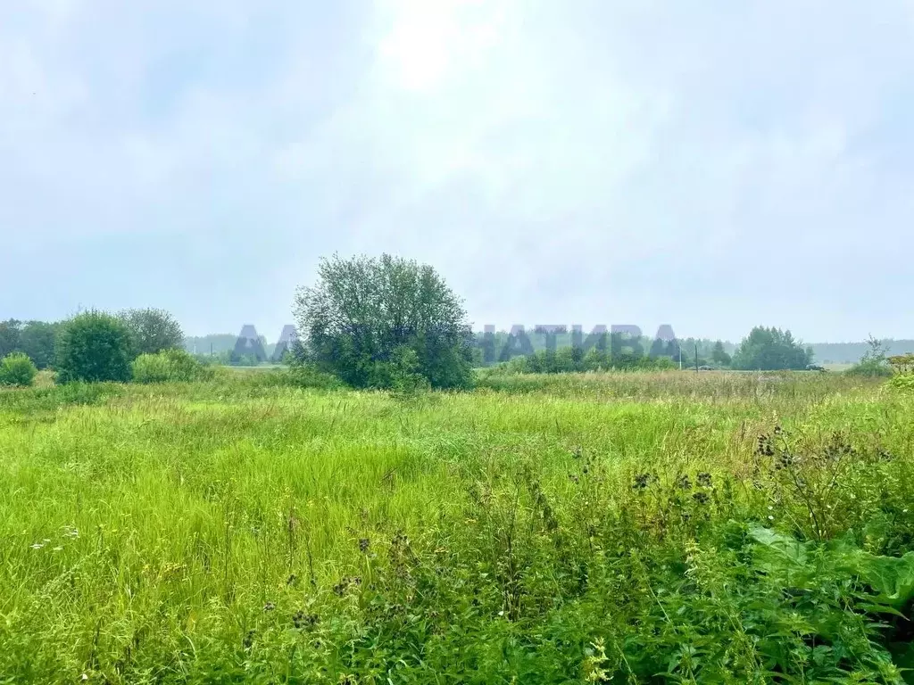 Участок в Ярославская область, Переславль-Залесский муниципальный ... - Фото 1