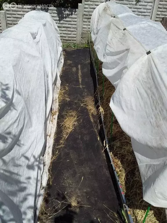 Дом в Саяногорск, садоводческое товарищество Березовая Роща, 1-я ... - Фото 2