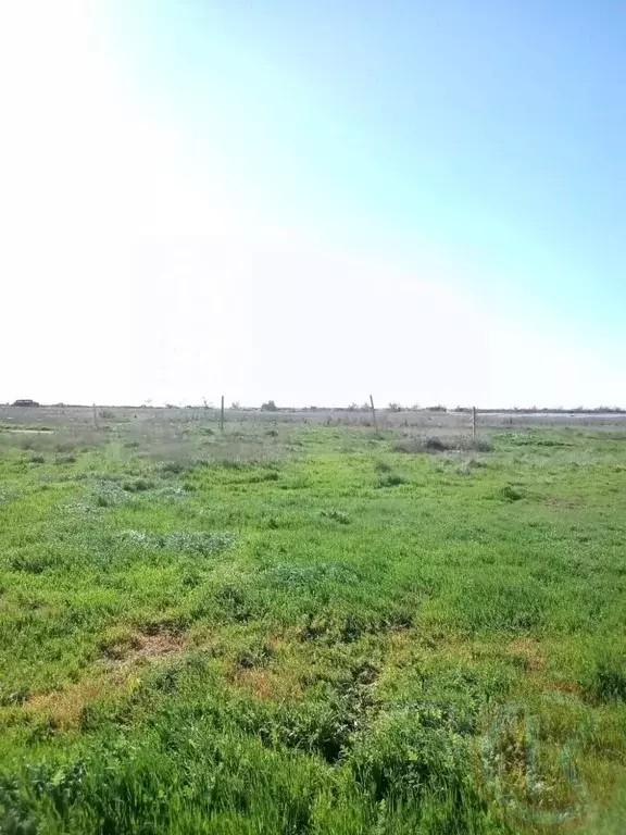 Участок в Крым, Сакский район, с. Молочное  (6.0 сот.) - Фото 1