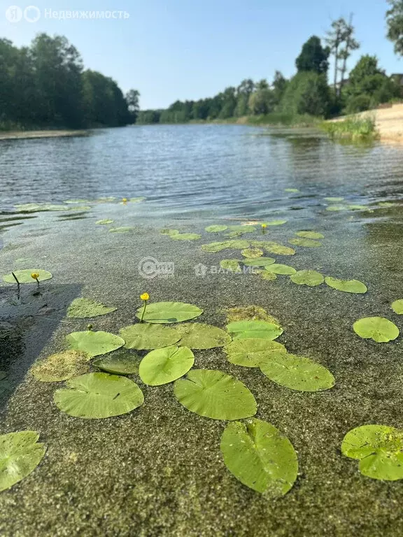 Дом в Воронежская область, рабочий посёлок Рамонь, Пристанционная ... - Фото 1