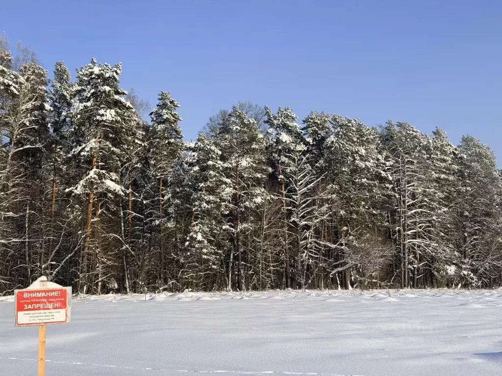 Участок в Московская область, Серпухов городской округ, д. Тверитино  ... - Фото 1