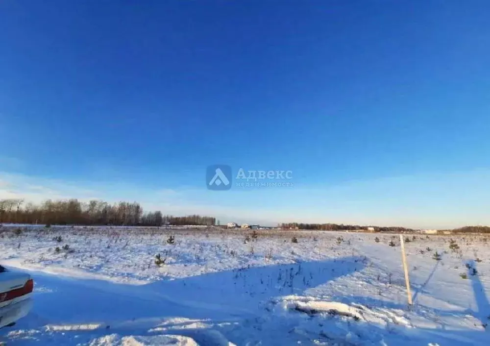 Участок в Тюменская область, Тюменский район, Новокаменский кп  (7.89 ... - Фото 1