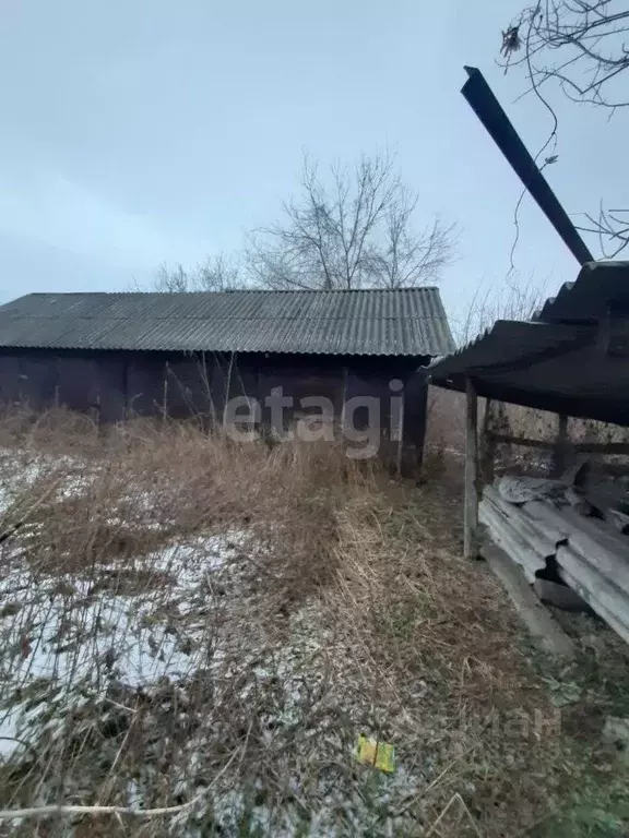 Участок в Белгородская область, Алексеевский городской округ, с. ... - Фото 0