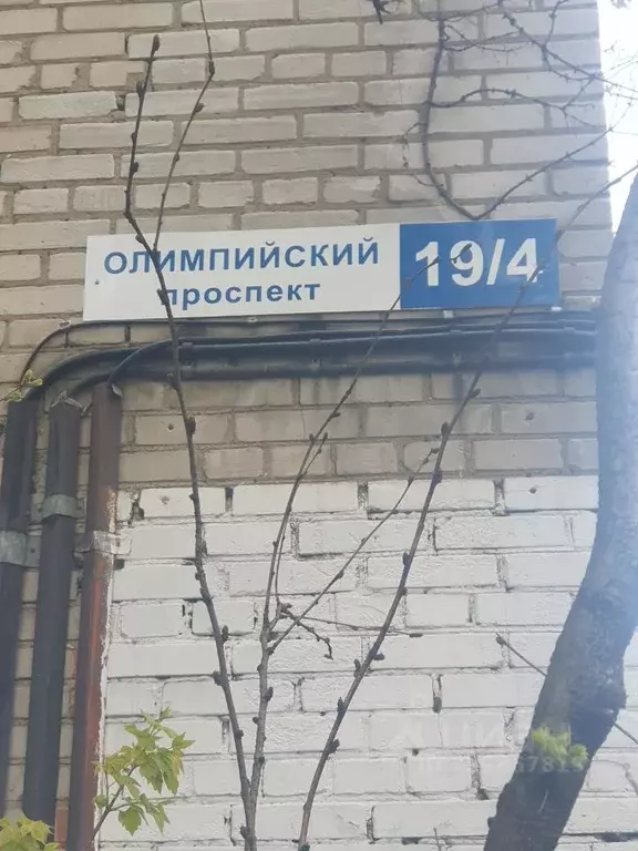 3-к кв. Московская область, Мытищи Олимпийский просп., 19к4 (61.9 м) - Фото 2