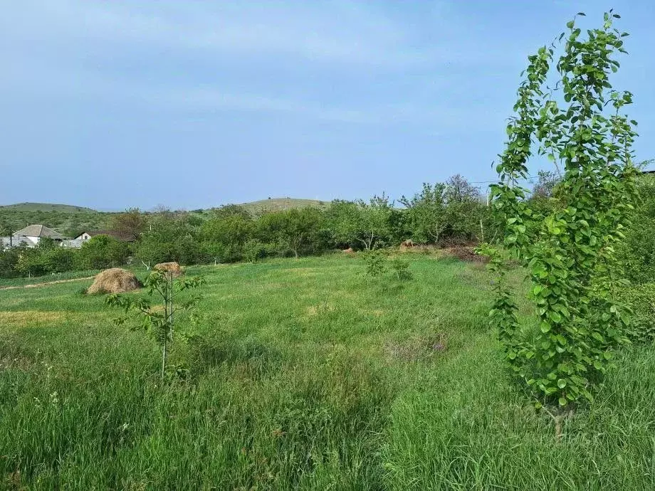 Участок в Крым, Феодосия муниципальный округ, с. Виноградное ул. ... - Фото 1