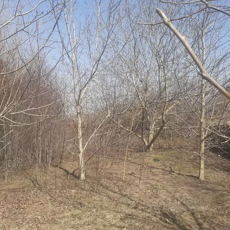 Участок в Краснодарский край, Анапа муниципальный округ, с. ... - Фото 1