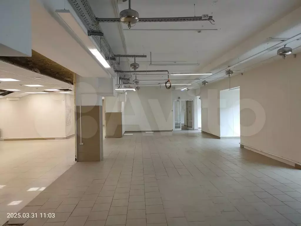 Аренда помещения свободного назначения 300 м2 - Фото 1