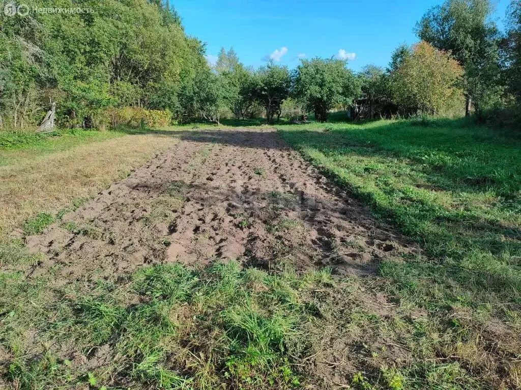 Участок в Тверская область, Калининский муниципальный округ, деревня ... - Фото 2