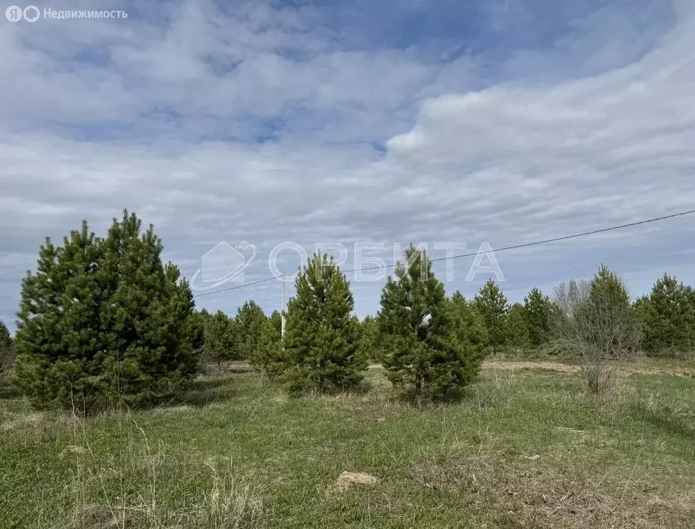 Участок в Усть-Ницинское сельское поселение, деревня Бурмакина, Новая ... - Фото 2