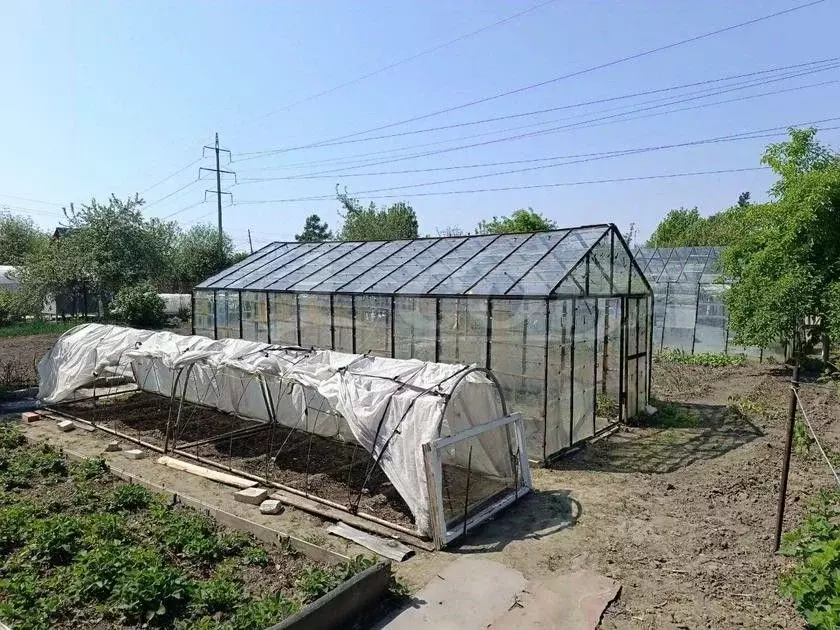 Дом в Курганская область, Курган Кедр СНТ, 65 (25 м) - Фото 1