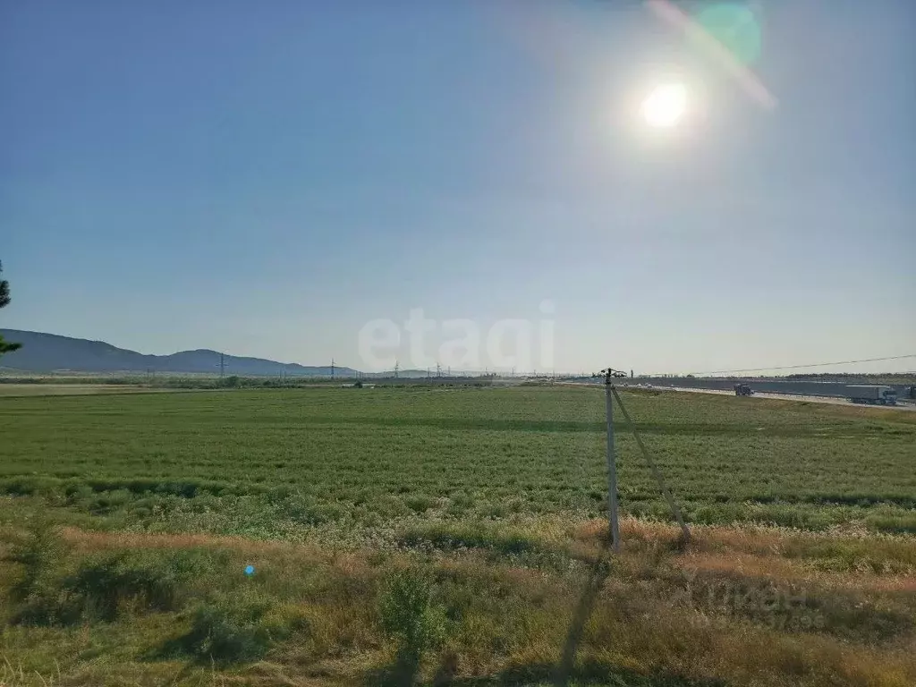 Участок в Крым, Кировский район, с. Абрикосовка ул. Восточная (253.9 ... - Фото 1