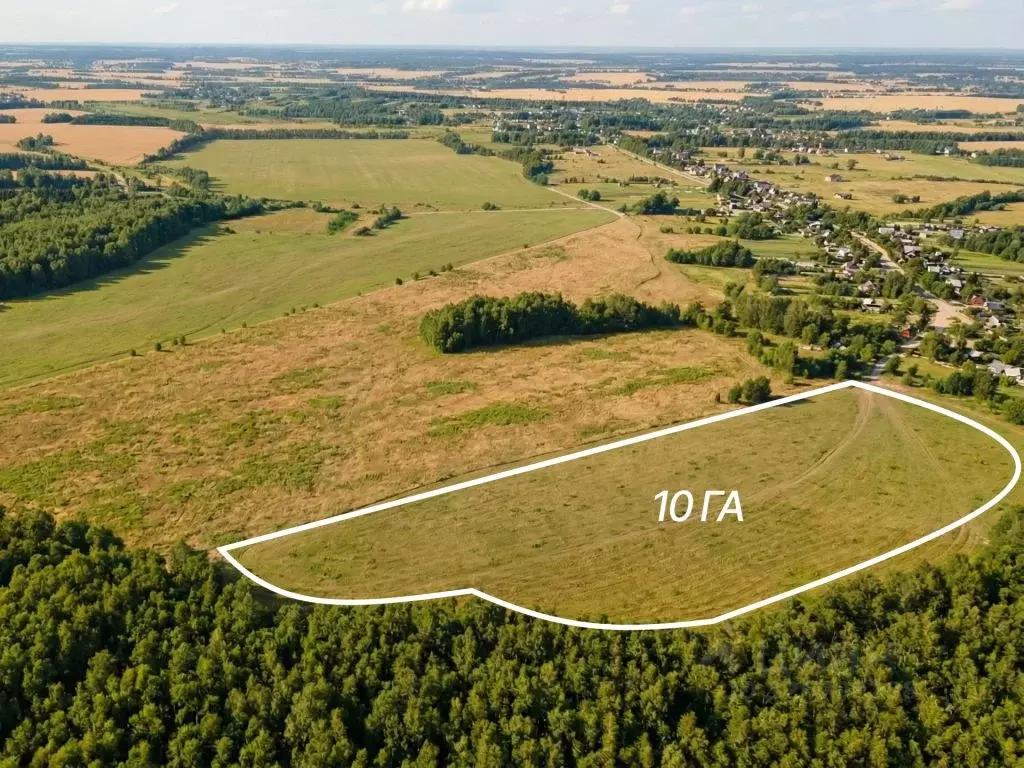 Участок в Тульская область, Ясногорский район, Ревякинское с/пос, с. ... - Фото 1