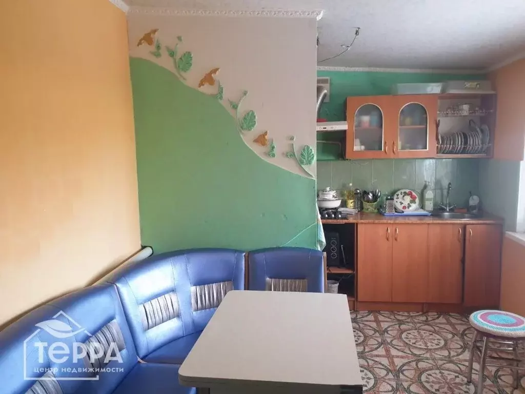 Дом в Крым, Сакский район, Кольцовское с/пос, с. Нива ул. Фрунзе, 41 ... - Фото 2