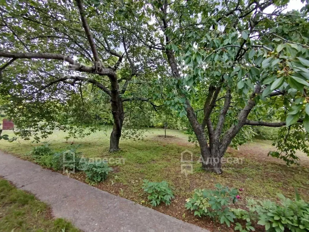 Дом в Волгоградская область, Волгоград Горчичник СНТ,  (25 м) - Фото 0