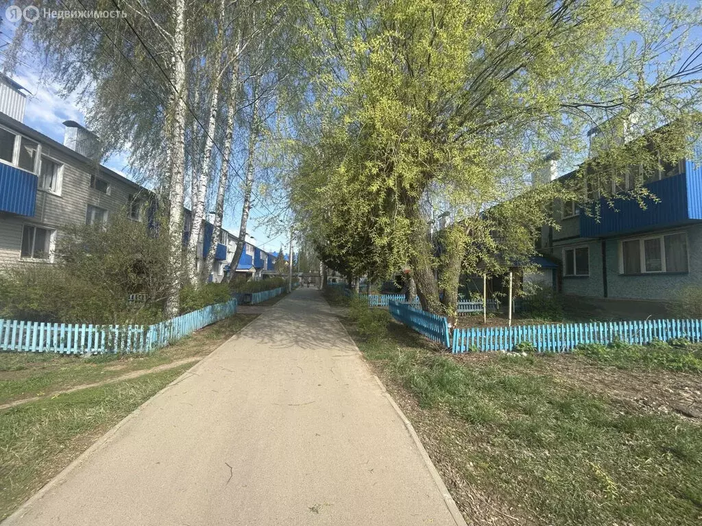 1-комнатная квартира: Пестрецы, Школьная улица, 1 (30.2 м) - Фото 1