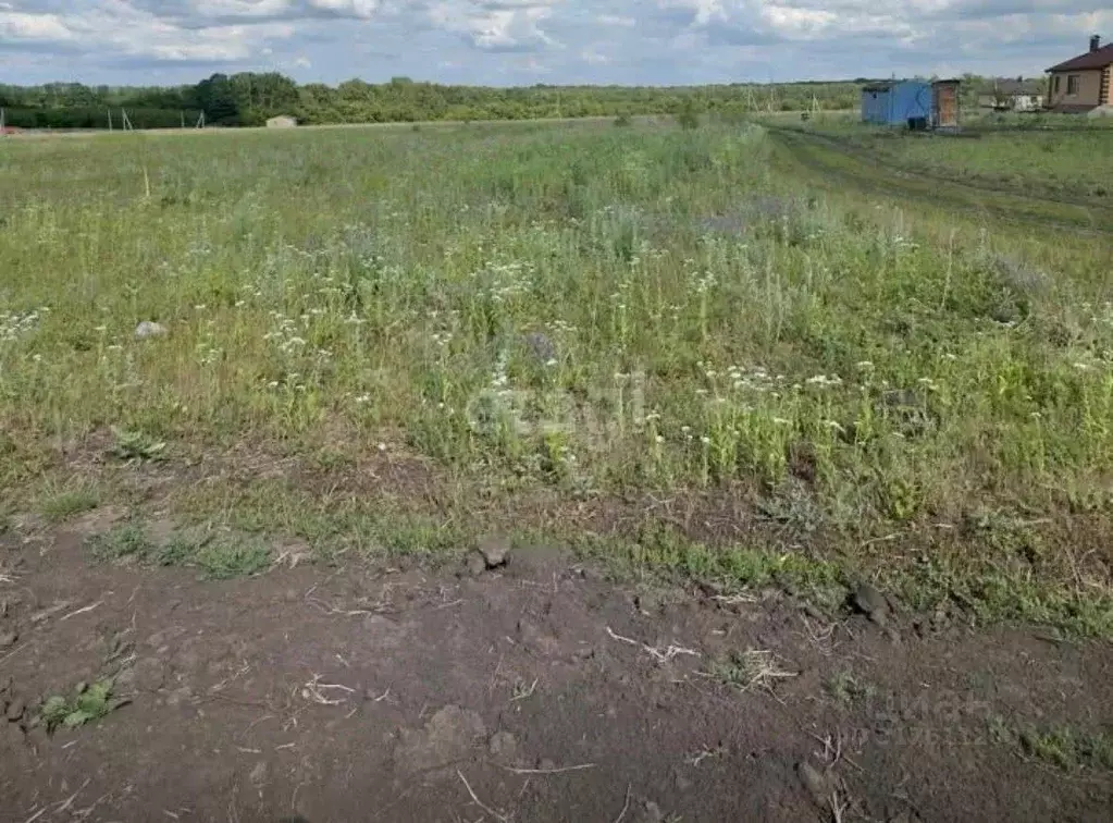 Участок в Белгородская область, Белгород ул. Виктора Лосева (15.0 ... - Фото 0
