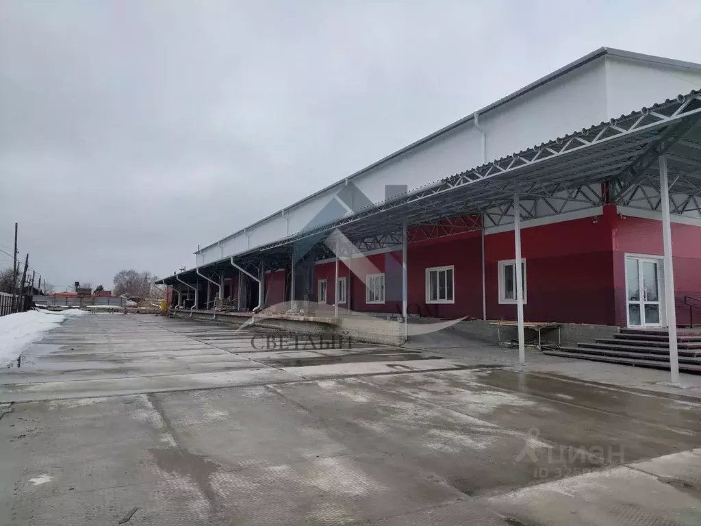 Помещение свободного назначения в Алтайский край, Барнаул ул. ... - Фото 2
