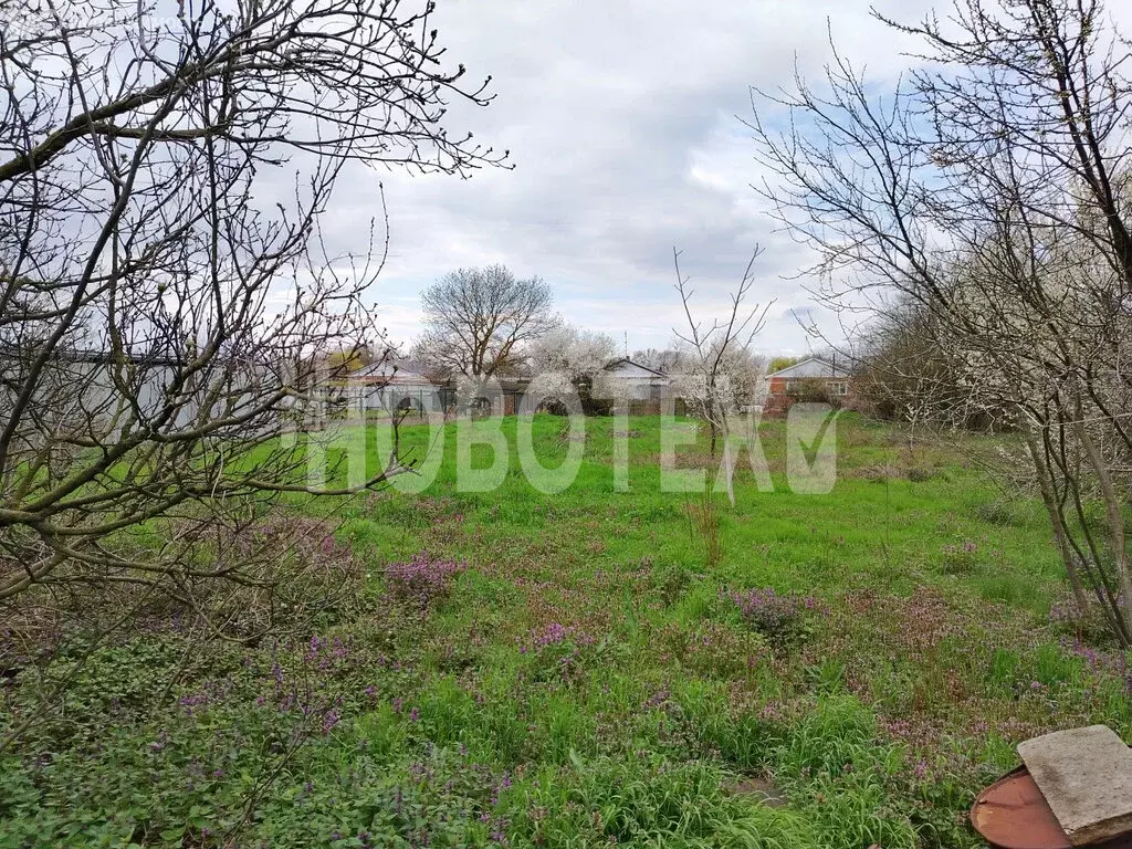 Дом в село Михайловское, улица Калинина (30.2 м) - Фото 2