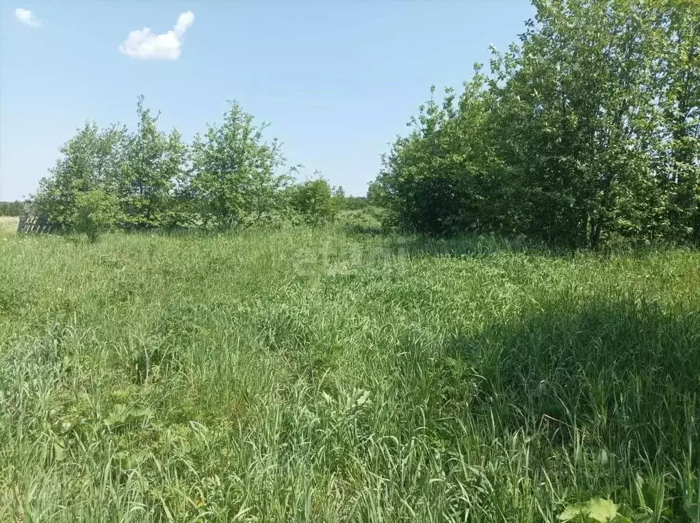 Участок в Свердловская область, Талицкий городской округ, д. Новая  ... - Фото 0