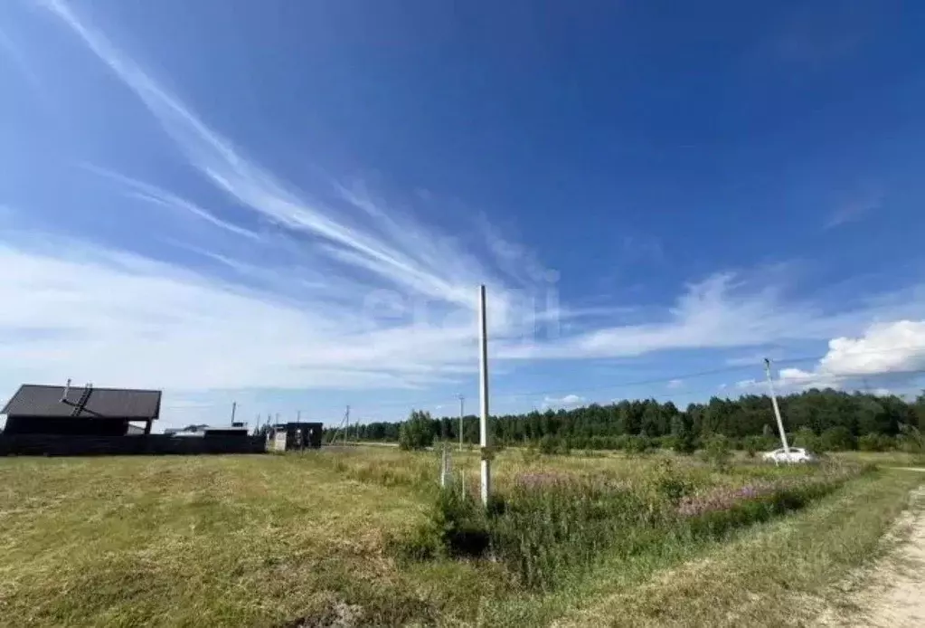 Участок в Тюменская область, Тюменский муниципальный округ, д. Якуши ... - Фото 2