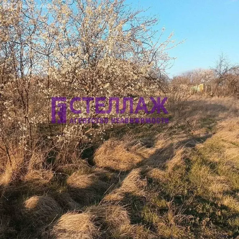 Участок в Феодосия, СОТ Труд, Центральная улица (5 м) - Фото 0