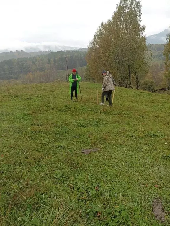 Участок в Алтай, Турочакский район, с. Турочак ул. Солнечная Поляна ... - Фото 2