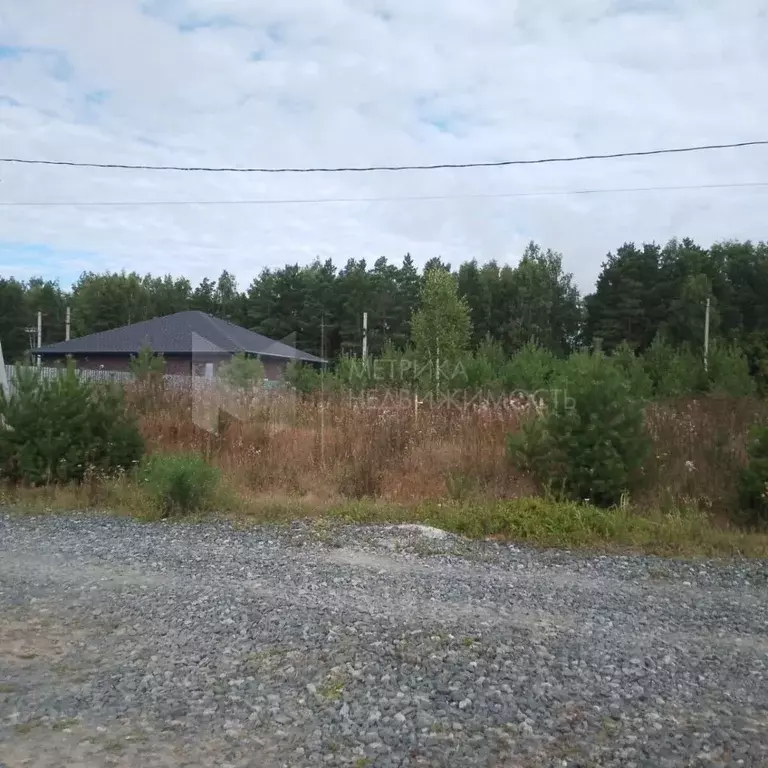 Участок в Тюменская область, Тюменский муниципальный округ, с. Гусево  ... - Фото 0