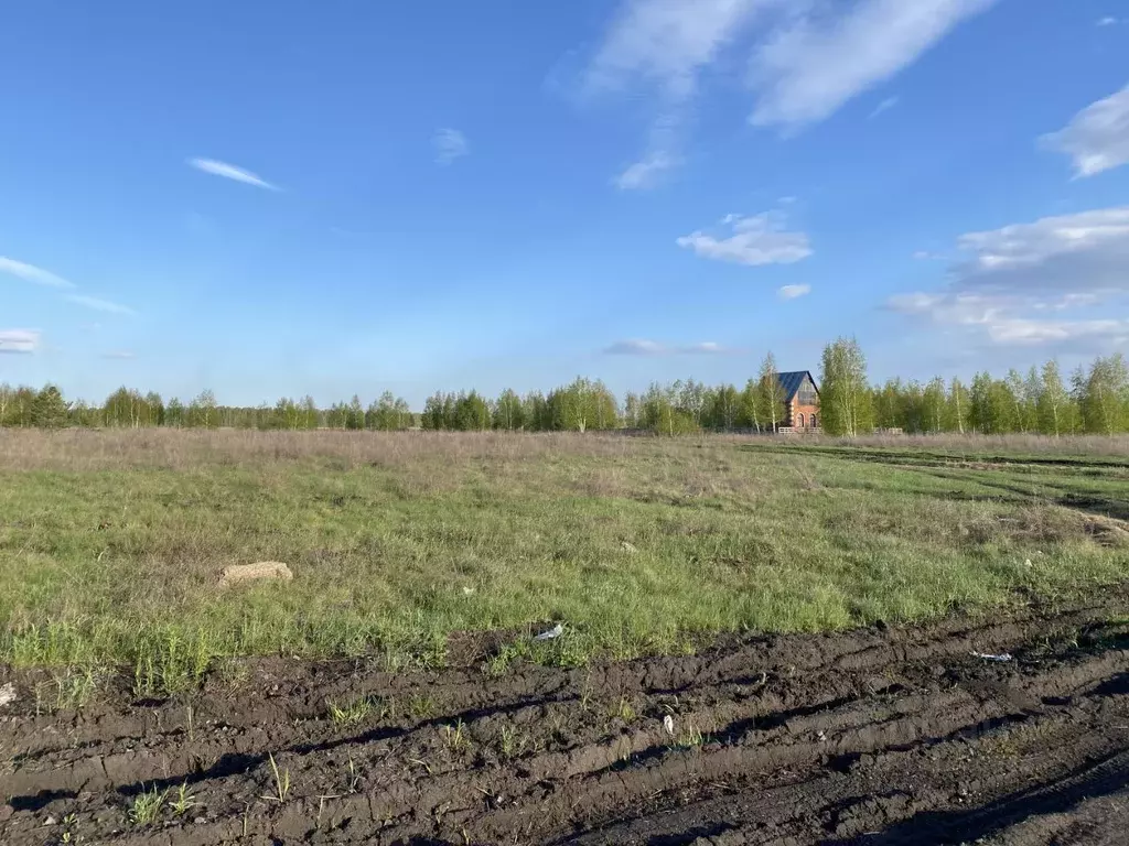 Участок в Челябинская область, Сосновский муниципальный округ, Рассвет ... - Фото 2