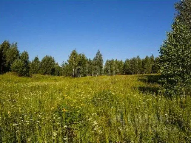Участок в Кировская область, Киров городской округ, д. Эсауловы  (15.0 ... - Фото 1