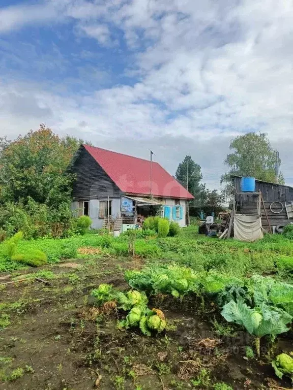 Дом в Алтайский край, Красногорский район, с. Быстрянка ул. Садовая, ... - Фото 1
