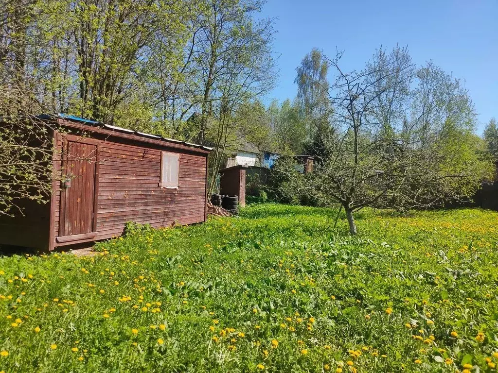 Участок, 812 сот., сельхоз (снт или днп) - Фото 0