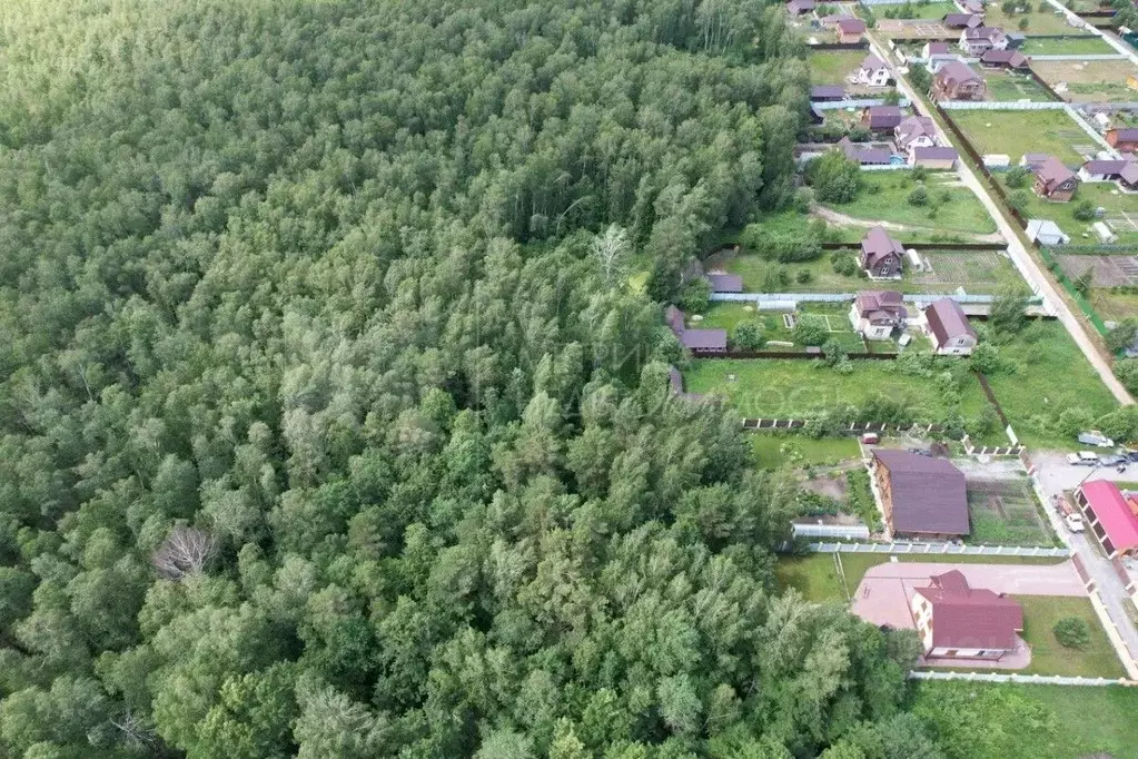 Участок в Тюменская область, Нижнетавдинский муниципальный округ, ... - Фото 1