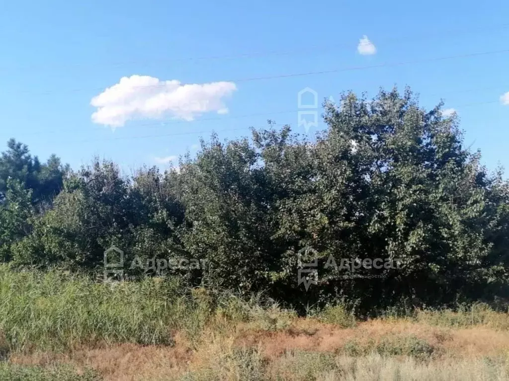 Участок в Волгоградская область, Среднеахтубинский район, Красное ... - Фото 0