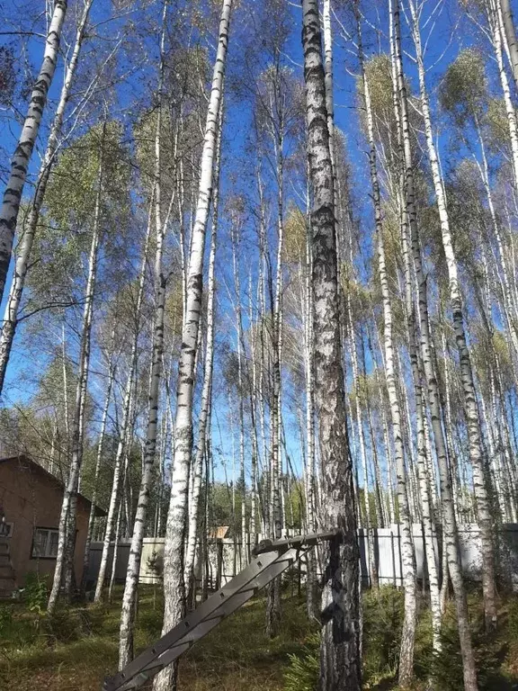 Дом в Калужская область, Калуга городской округ, д. Юрьевка  (67 м) - Фото 1