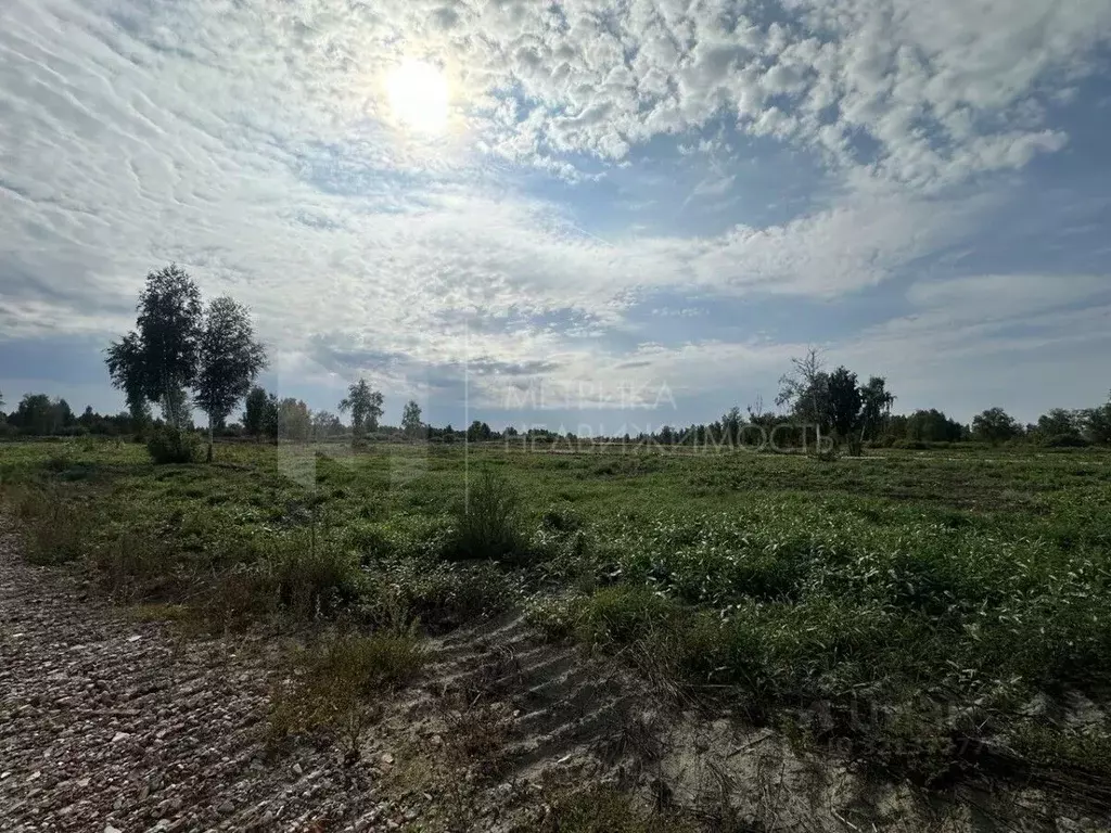 Участок в Тюменская область, Нижнетавдинский район, с. Средние Тарманы ... - Фото 1