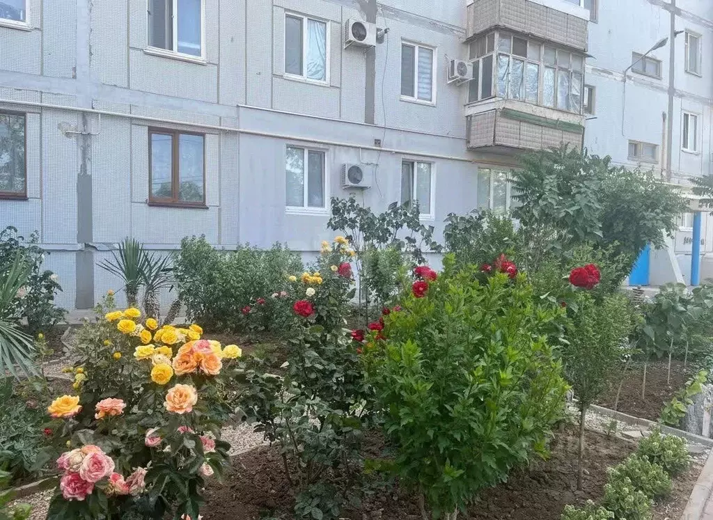 1-к кв. Крым, Саки ул. Советская (32.5 м) - Фото 1