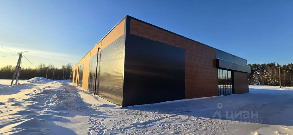 Торговая площадь в Московская область, Воскресенск городской округ, д. ... - Фото 2